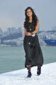 Telugu Heroine Shanvi in Black Dress Pictures