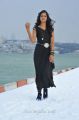 Telugu Actress Shanvi in Black Dress Stills