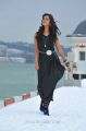 Telugu Actress Shanvi in Black Dress Stills