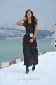 Shanvi Cute Still in Black Dress