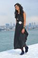 Telugu Heroine Shanvi in Black Dress Pictures