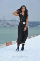 Telugu Heroine Shanvi in Black Dress Pictures