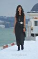 Telugu Actress Shanvi in Black Dress Stills