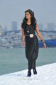 Telugu Heroine Shanvi in Black Dress Pictures