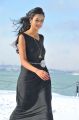 Lovely Heroine Shanvi in Black Dress Pics