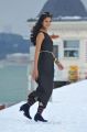 Telugu Actress Shanvi in Black Dress Stills