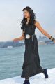 Telugu Actress Shanvi in Black Dress Stills