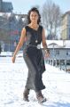 Telugu Actress Shanvi in Black Dress Stills