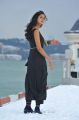 Lovely Actress Shanvi Hot in Black Dress