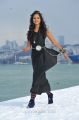 Lovely Heroine Shanvi in Black Dress Pics