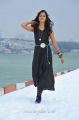 Telugu Heroine Shanvi in Black Dress Pictures