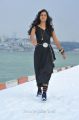 Lovely Heroine Shanvi in Black Dress Pics