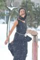 Telugu Actress Shanvi in Black Dress Stills