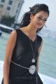 Lovely Actress Shanvi Hot in Black Dress