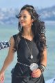 Shanvi Cute Still in Black Dress