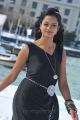 Lovely Actress Shanvi Hot in Black Dress