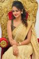 Actress Shanvi Photos in Golden Color Saree