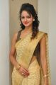 Actress Shanvi in Golden Color Saree Photos
