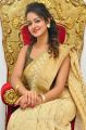 Actress Shanvi in Golden Color Saree Photos