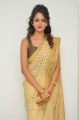 Actress Shanvi Srivastava in Golden Color Saree Photos