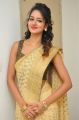 Actress Shanvi in Golden Saree Photos at her Manager Hari Wedding Reception