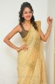 Actress Shanvi Photos in Golden Color Saree