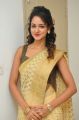 Actress Shanvi Srivastava Photos in Golden Color Saree