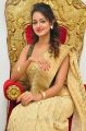 Actress Shanvi Srivastava Photos in Golden Color Saree