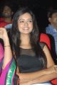 Actress Shanvi Latest Hot Photos