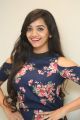 Bilalpur Police Station Heroine Shanvi Meghana Photos