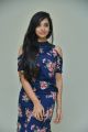 Bilalpur Police Station Heroine Shanvi Meghana Photos