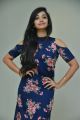 Bilalpur Police Station Heroine Shanvi Meghana Photos