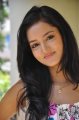 Telugu Actress Shanvi Latest Photo Shoot Gallery