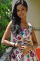 Lovely Telugu Movie Heroine Shanvi Photo Shoot Stills