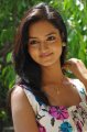 Shanvi Photo Shoot Stills