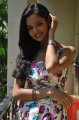 Shanvi Photo Shoot Stills