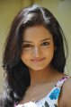 Lovely Telugu Movie Heroine Shanvi Photo Shoot Stills