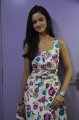 Actress Shanvi at Lovely Movie Interview