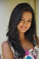 Telugu Actress Shanvi Latest Photo Shoot Gallery