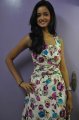 Telugu Actress Shanvi Latest Photo Shoot Gallery