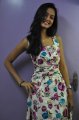 Lovely Telugu Movie Heroine Shanvi Photo Shoot Stills