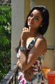 Telugu Heroine Shanvi Hot Photo Shoot Stills