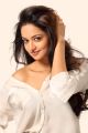 Actress Shanvi Srivastava New Hot Photoshoot Images
