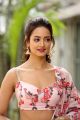 Athade Srimannarayana Actress Shanvi Srivastava Cute Images