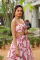 Actress Shanvi Srivastava Images @ Athade Srimannarayana Trailer Launch