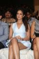 Actress Shanvi Images @ IIFA Utsavam 2017 Press Meet