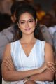 Actress Shanvi Srivastava @ International Indian Film Academy Awards Utsavam 2017 Press Meet