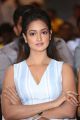 Actress Shanvi Srivastava @ International Indian Film Academy Awards Utsavam 2017 Press Meet