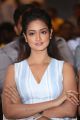 Actress Shanvi Srivastava @ International Indian Film Academy Awards Utsavam 2017 Press Meet