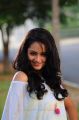 Adda Movie Actress Shanvi Srivastava Photos